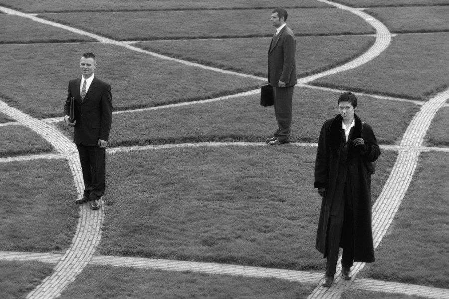 parcours professionnel