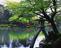 jardin japonais