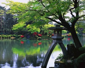 jardin japonais