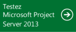 test MS Project Server
