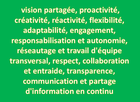 caractéristiques organisation Agile