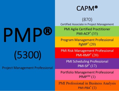 Certifiés France PMI 2015 - Détails des certifications en cliquant sur cette image.