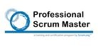 Professional Scrum Master