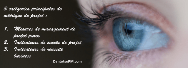 catégories de métrique projet